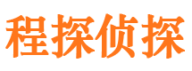 延川私家调查公司